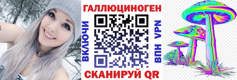 Псилоцибиновые грибы Cubensis  Купить где  Тимашёвск 