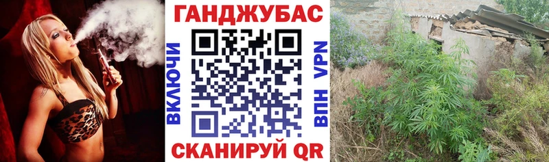 Купить закладки  Тимашёвск  Бошки марихуана Ganja 